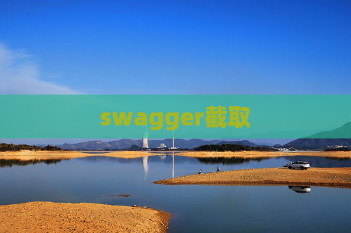 swagger截取